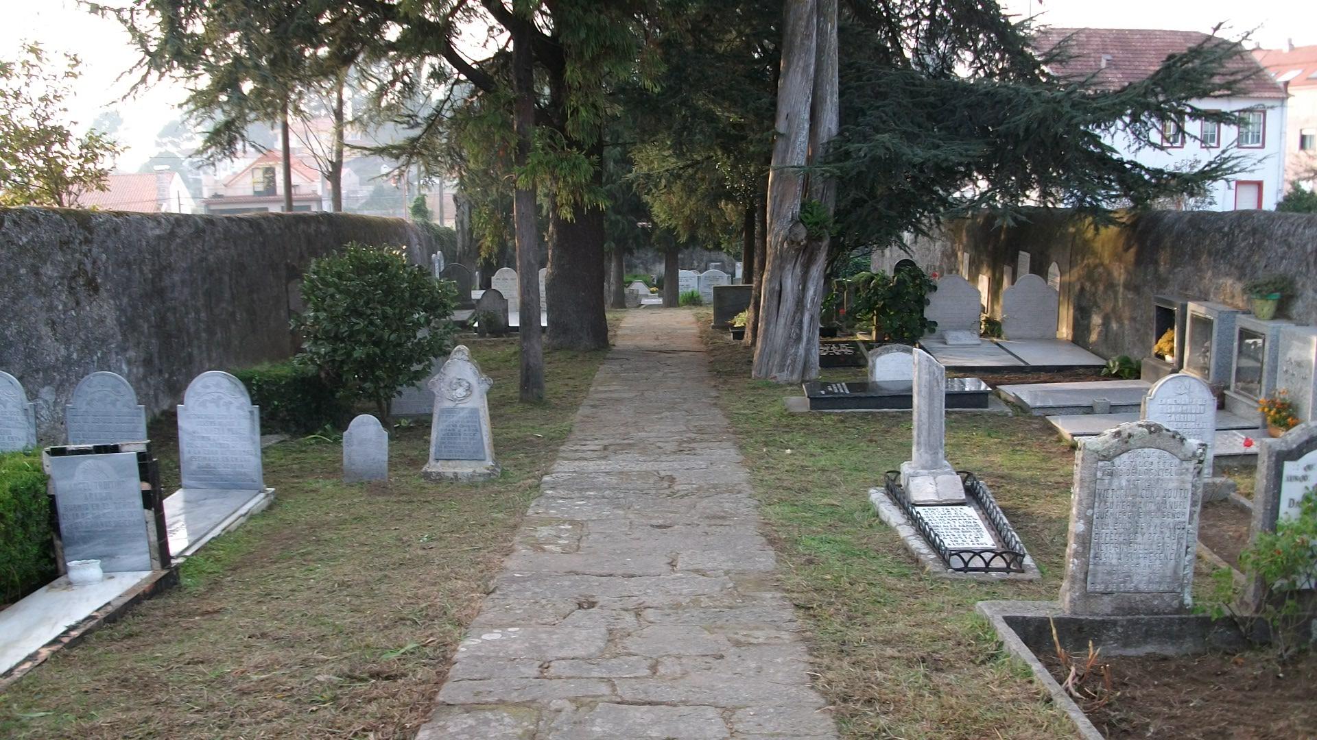 Cedro en el Cementerio Evangélico de Seixo